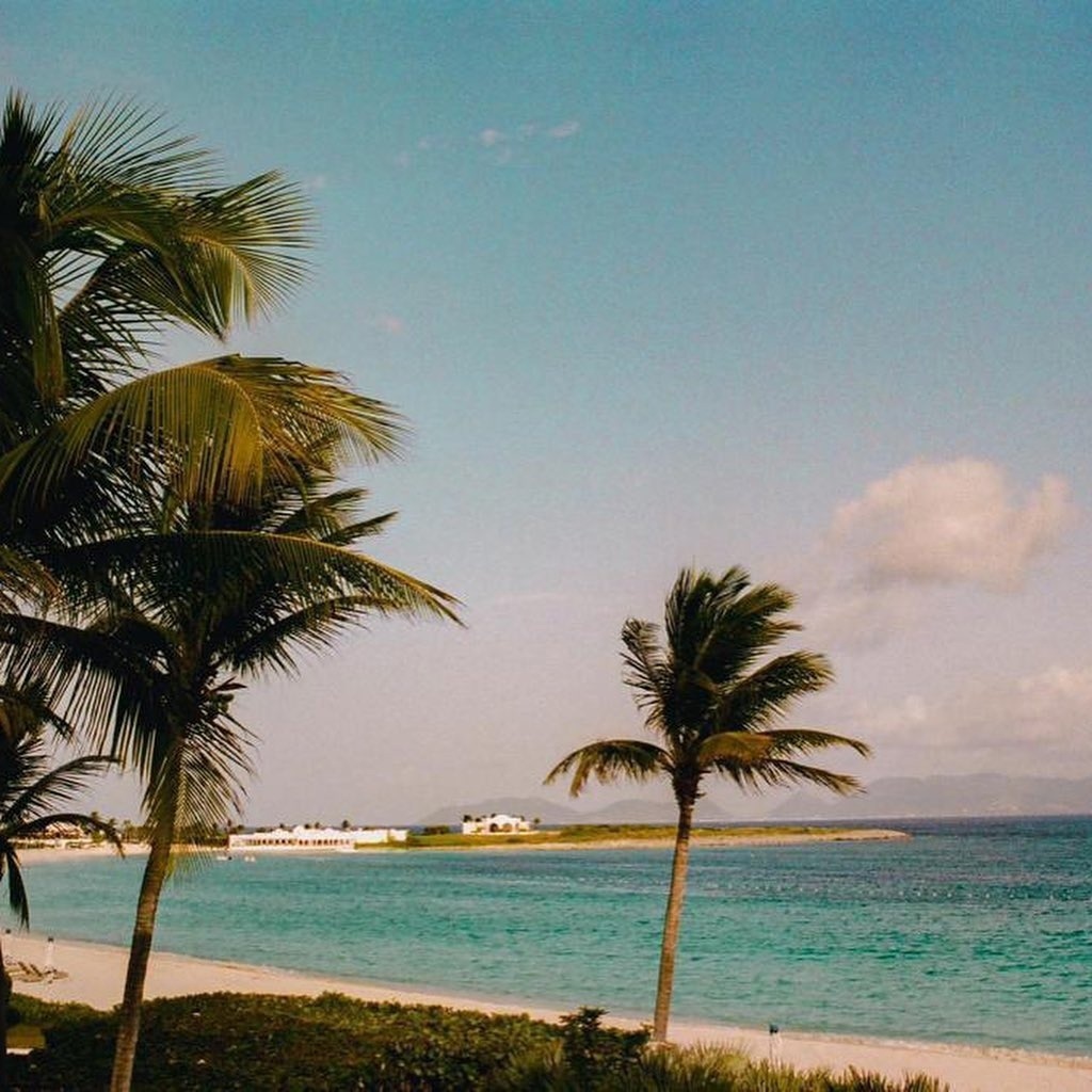 493.jpg 493.jpg